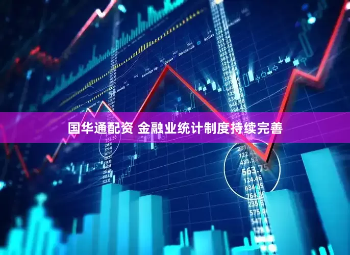 国华通配资 金融业统计制度持续完善