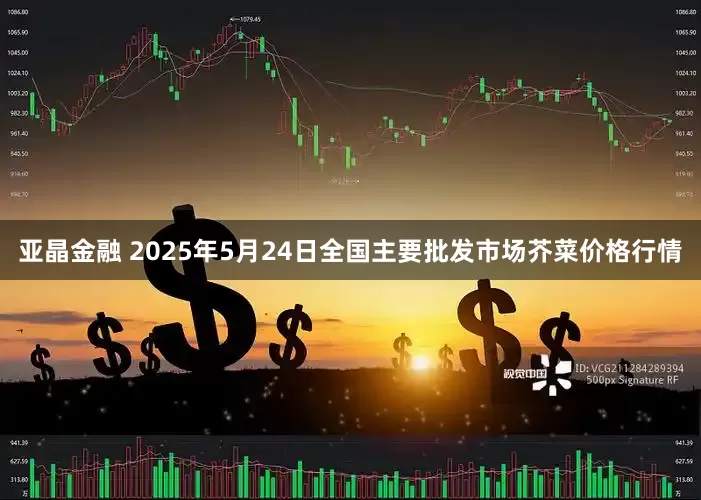亚晶金融 2025年5月24日全国主要批发市场芥菜价格行情