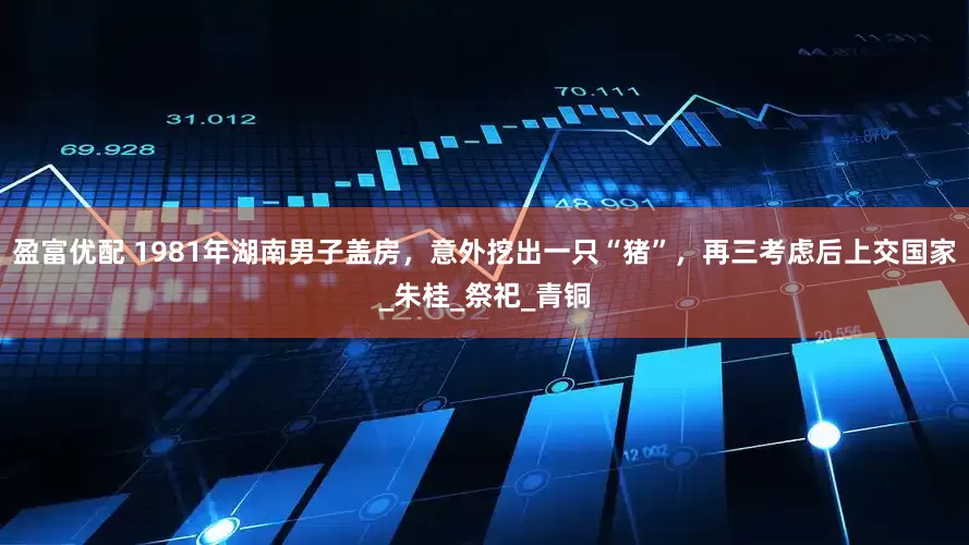 盈富优配 1981年湖南男子盖房，意外挖出一只“猪”，再三考虑后上交国家_朱桂_祭祀_青铜