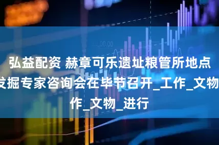 弘益配资 赫章可乐遗址粮管所地点考古发掘专家咨询会在毕节召开_工作_文物_进行