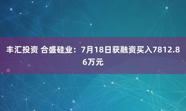 丰汇投资 合盛硅业：7月18日获融资买入7812.86万元