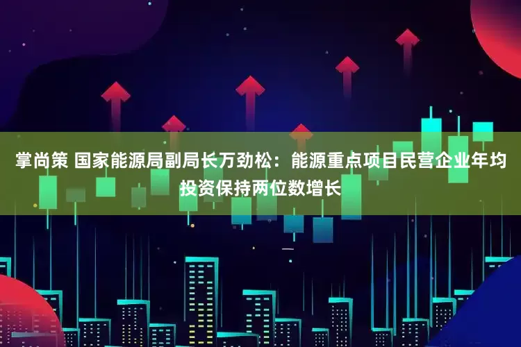 掌尚策 国家能源局副局长万劲松：能源重点项目民营企业年均投资保持两位数增长