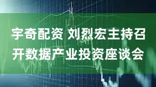 宇奇配资 刘烈宏主持召开数据产业投资座谈会