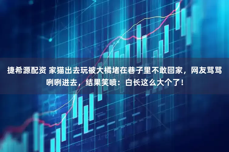 捷希源配资 家猫出去玩被大橘堵在巷子里不敢回家,网友骂骂咧咧进去,结果笑喷:白长这么大个了!