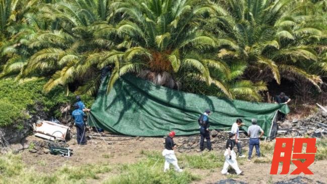 济州岛3天现4尸警方涉虚假结案 掩盖真相引发公愤